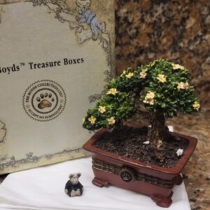 Uncle Bean's Treasure Box - Mr. Chen's Bonsai Tree